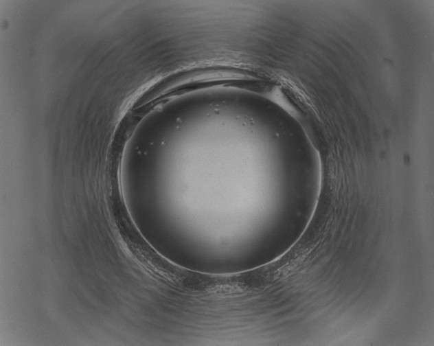 X0000068890536200605081322