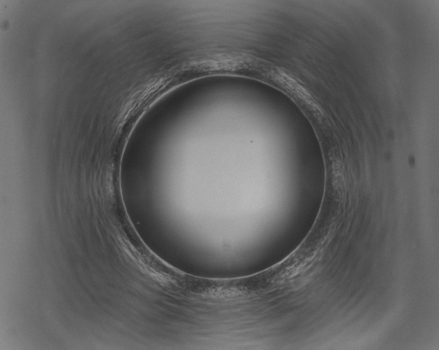 X0000068890537200605081322