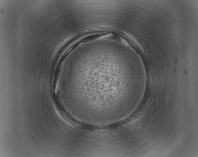 X0000068890538200605081322