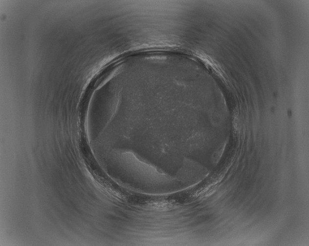 X0000068890540200605081322