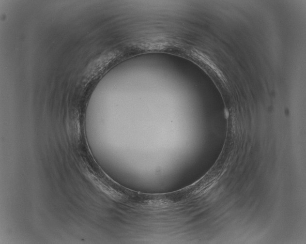 X0000068890541200605081322