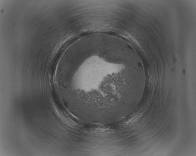 X0000068890542200605081322