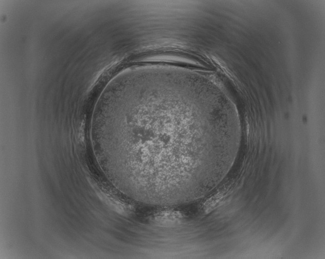 X0000068890543200605081322