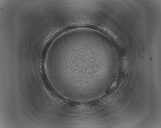 X0000068890544200605081322