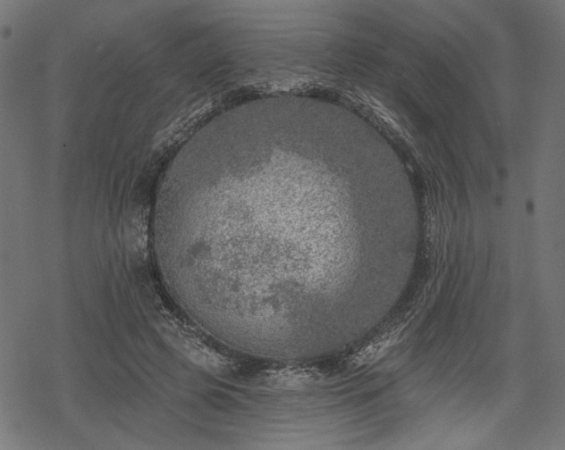 X0000068890545200605081322