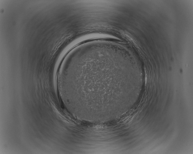 X0000068890546200605081322