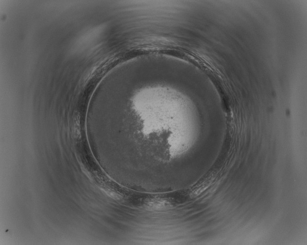 X0000068890547200605081322