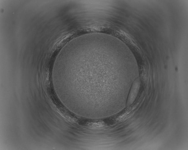 X0000068890548200605081322