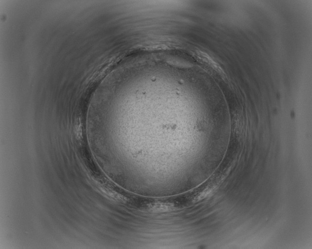 X0000068890549200605081322