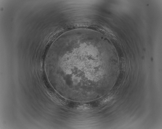 X0000068890550200605081322