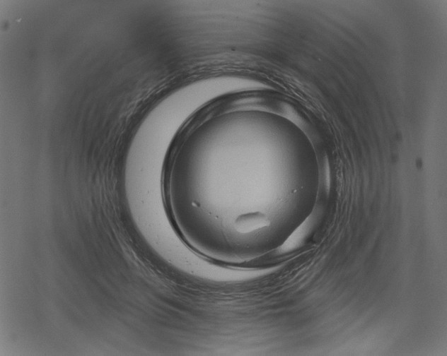 X0000068890551200605081322