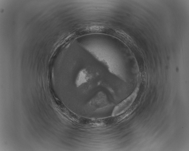 X0000068890552200605081322