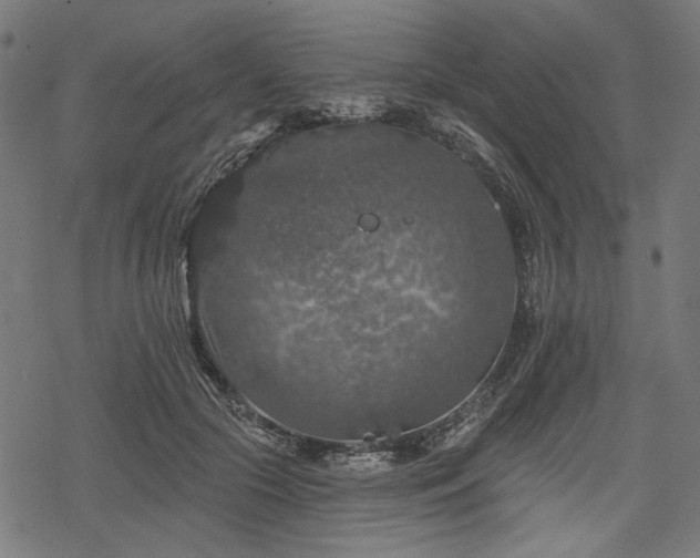 X0000068890553200605081322