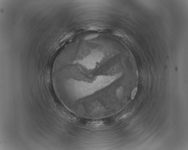 X0000068890554200605081322