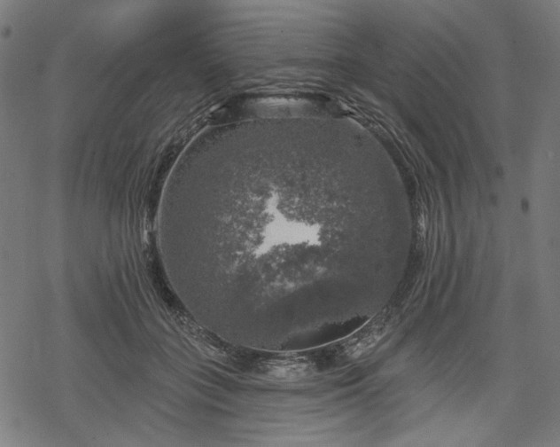 X0000068890555200605081322