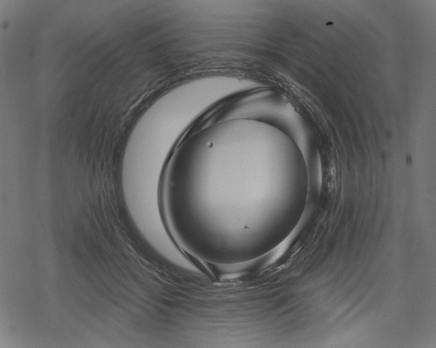 X0000068890556200605081322