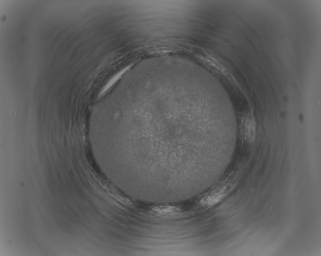 X0000068890557200605081322