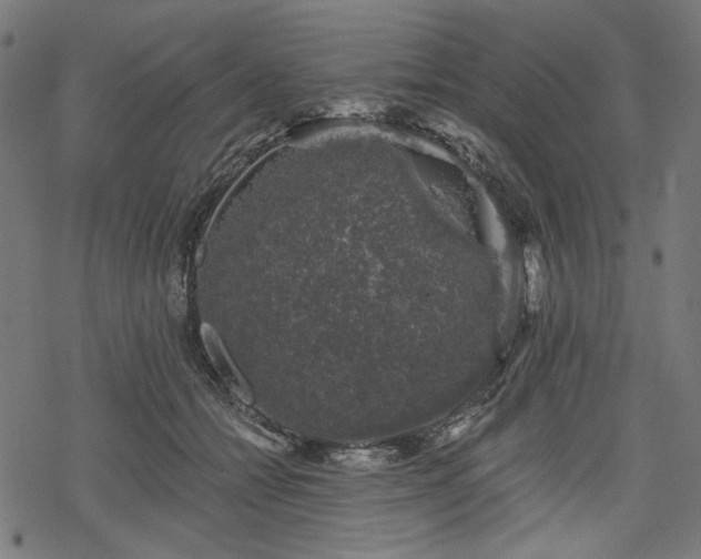 X0000068890558200605081322