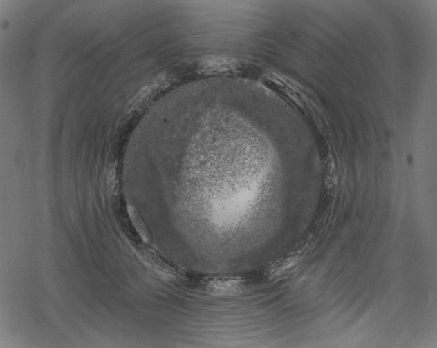 X0000068890560200605081322