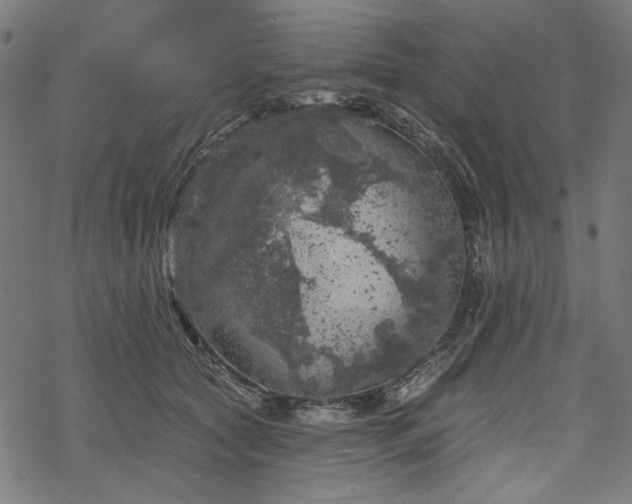 X0000068890561200605081322