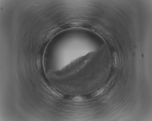 X0000068890562200605081322