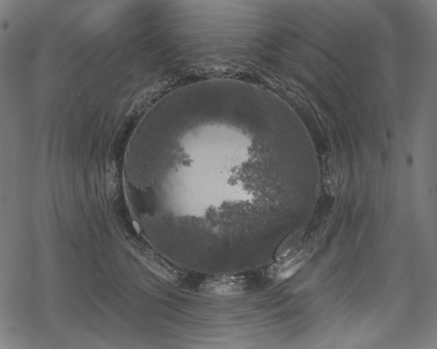 X0000068890563200605081322