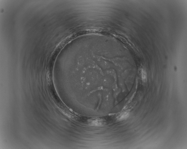 X0000068890564200605081322