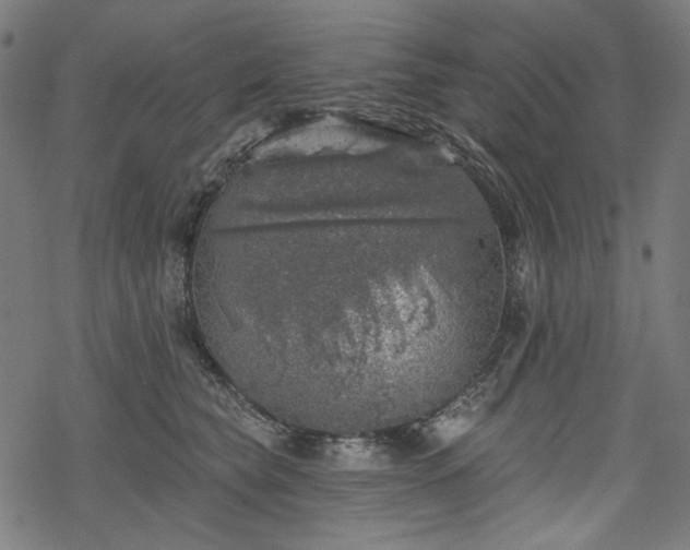 X0000068890565200605081322