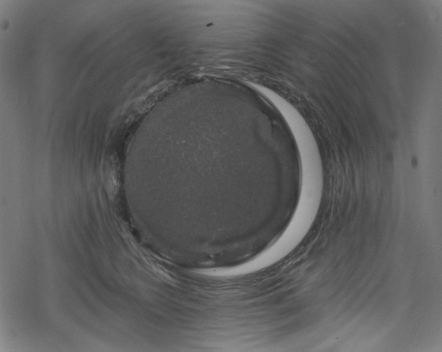 X0000068890566200605081322