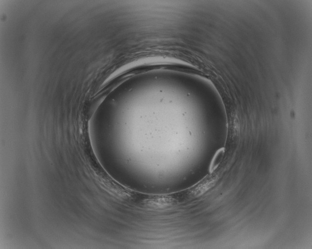 X0000068890567200605081322