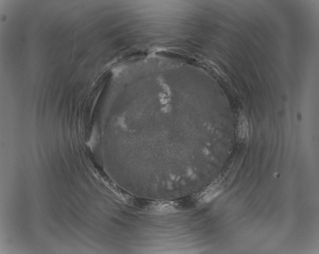 X0000068890569200605081323