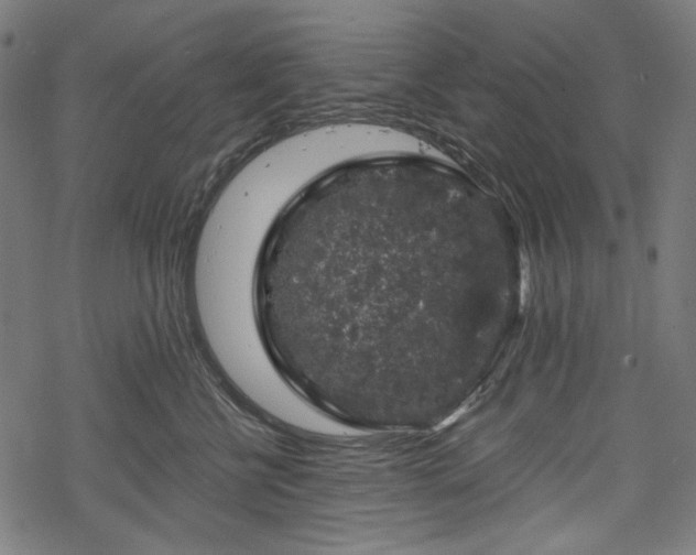 X0000068890570200605081323