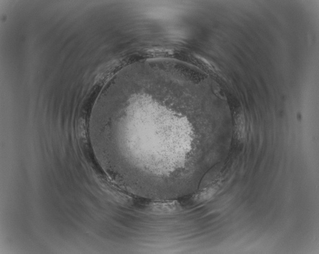 X0000068890571200605081323