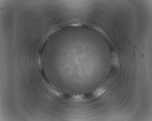 X0000068890573200605081323