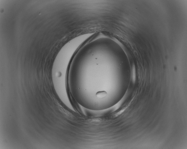 X0000068890574200605081323