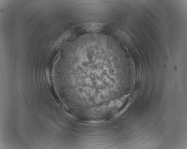 X0000068890575200605081323