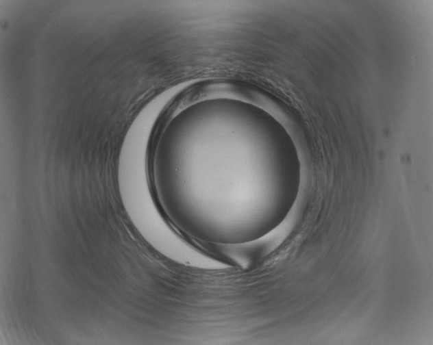 X0000068890576200605081323