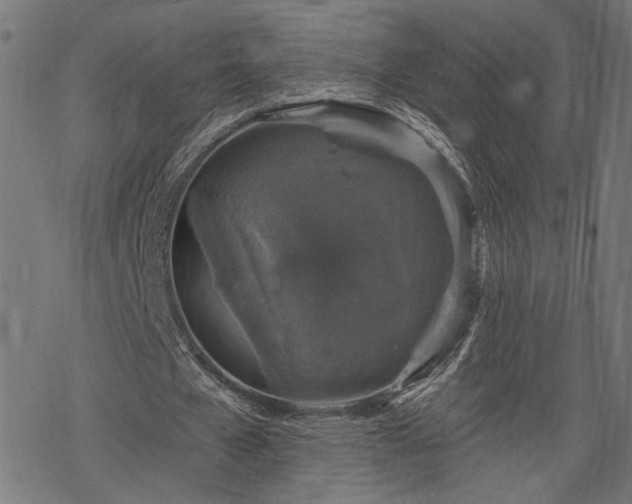 X0000068890577200605081322