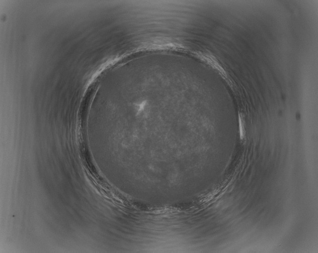 X0000068890579200605081322