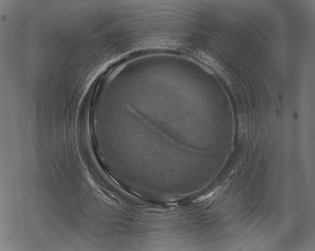 X0000068890580200605081322