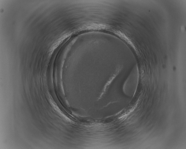 X0000068890581200605081322