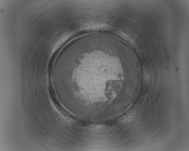 X0000068890582200605081322