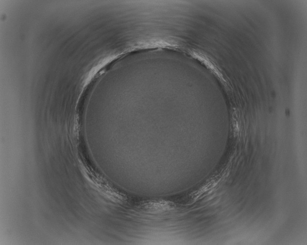 X0000068890583200605081322