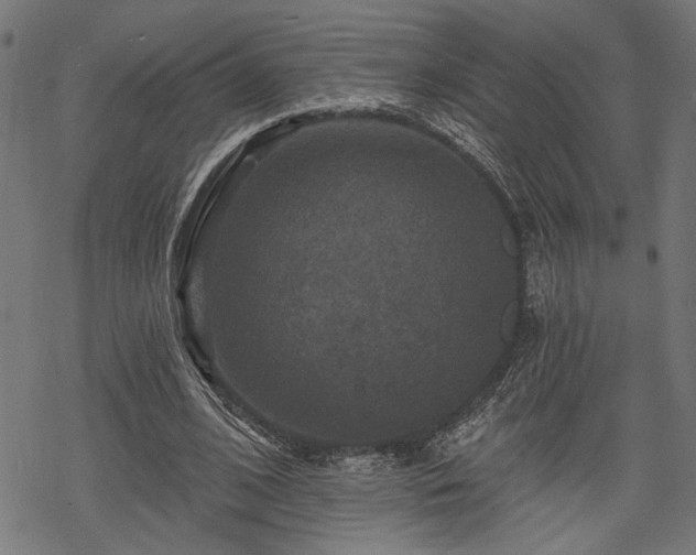 X0000068890584200605081322