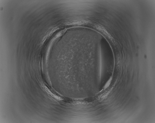 X0000068890585200605081322