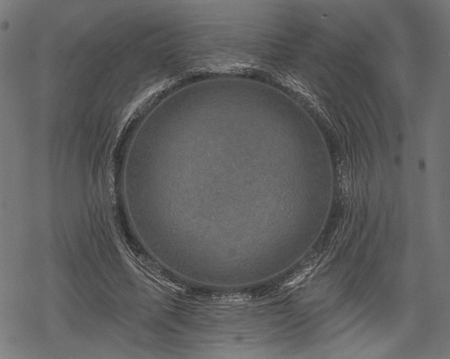 X0000068890587200605081322