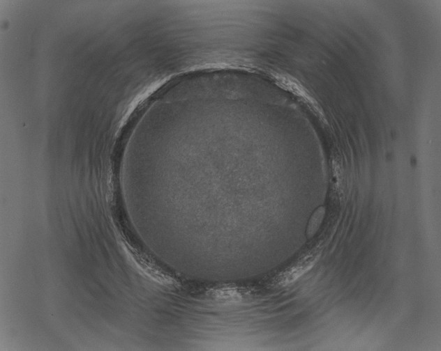 X0000068890588200605081322