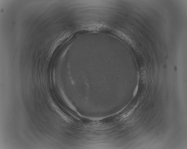 X0000068890589200605081322