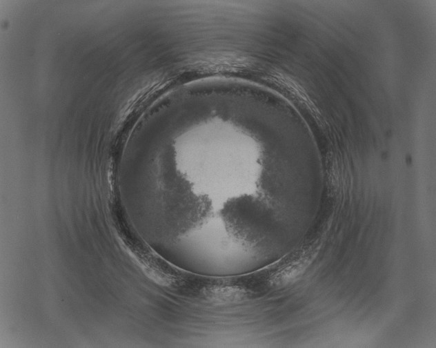 X0000068890590200605081322