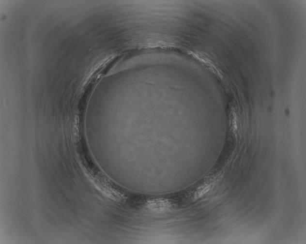 X0000068890591200605081322